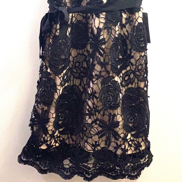 Love x Design | Selma Surplice Lace Dress - Picture 4 of 11